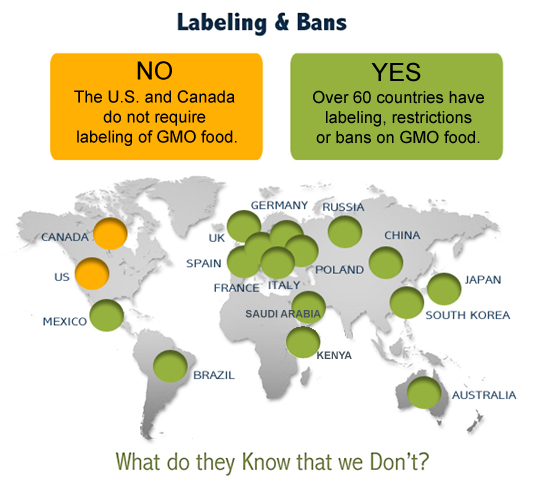 gmo-labeling-and-bans